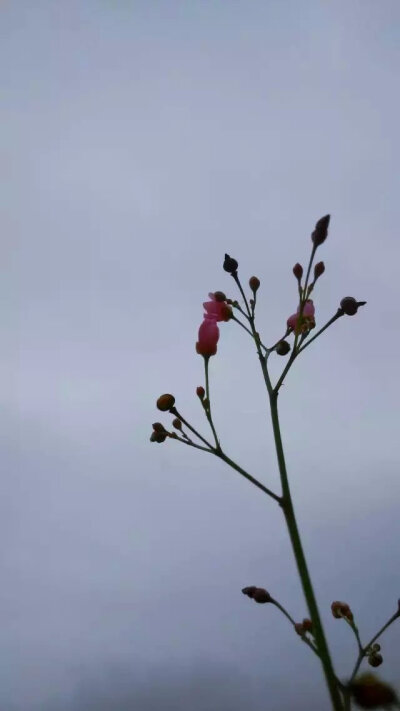 我们拥有幸福快乐，也曾拥有阳光季节，但那些阳光都已成为时间以外的季节； 我们拥有吵闹和好，也曾拥有愉快时光，但那些酒与歌都随着季节更迭早已流逝。阳光被乌云遮住，回忆被时光冲洗。待它阳光重现时光却早已不…