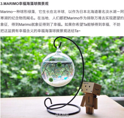 棒棒哒
