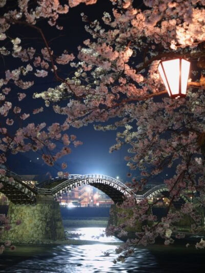 Cherry Blossoms and Kintai Bridge, Iwakuni, Yamaguchi, Japan。日本山口县岩国市锦带桥，是一座五孔石墩木拱桥，跨度27.5米，全长193.3米，宽5米，1673年首次建造完成，是日本三大名桥之一。这里不但木桥优美两岸…