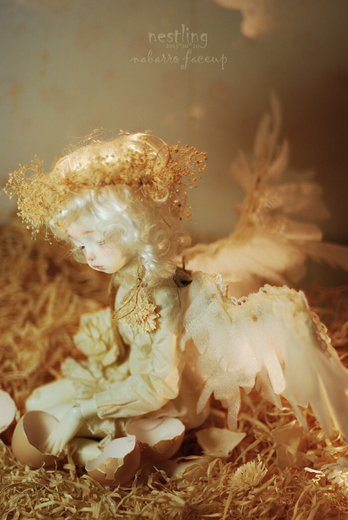 小天使゛bjdsd娃娃