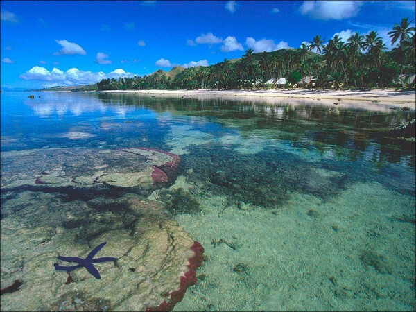 斐济的海水