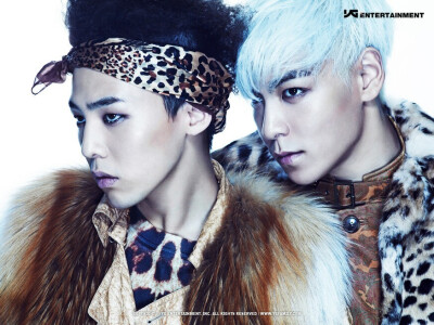 Top&amp;amp;G D.