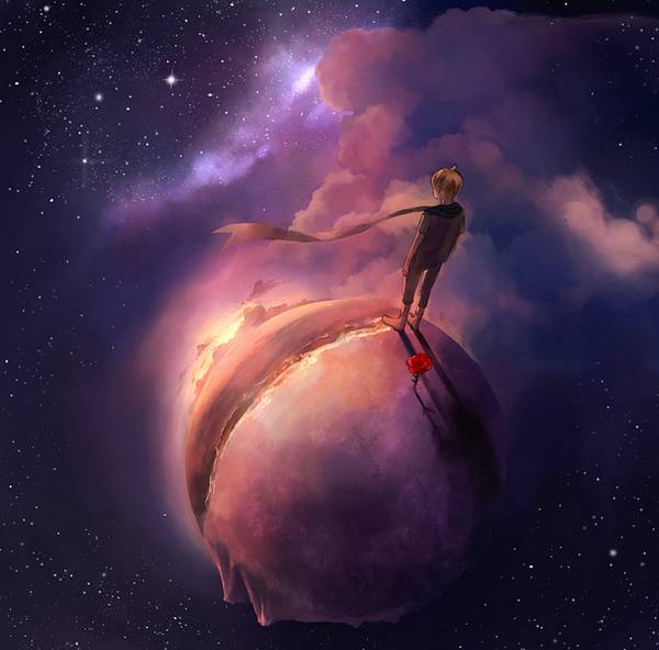 小王子与玫瑰花79