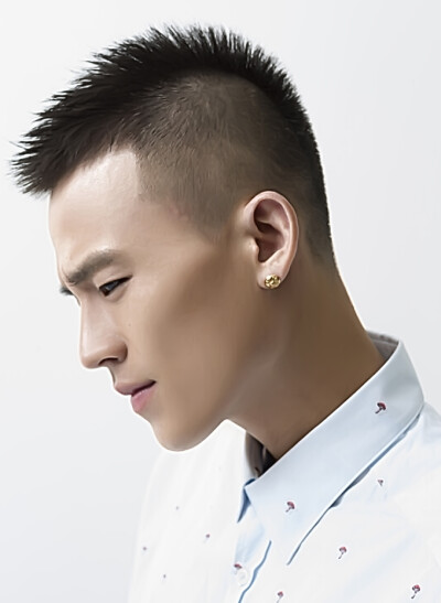 欧豪护卫队-77号