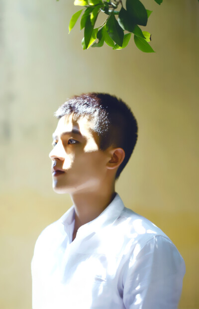 欧豪护卫队-77号