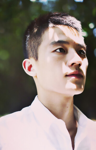 欧豪护卫队-77号