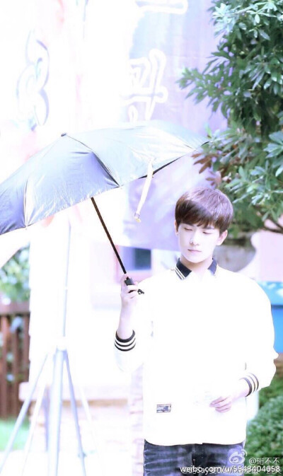 杨洋