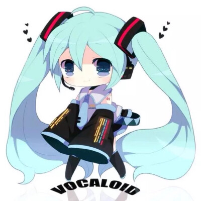 初音第一弹