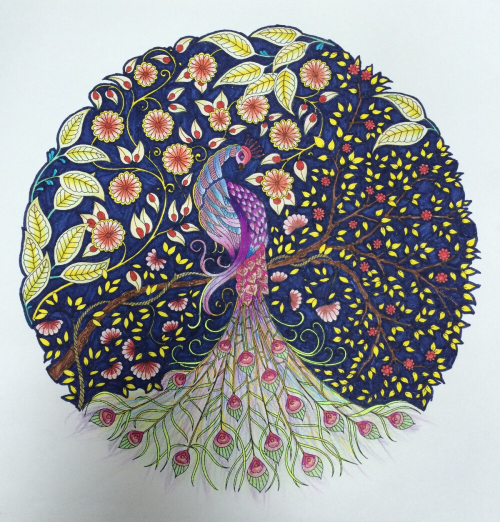 秘密花园第三弹！