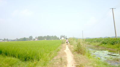 夏天乡野间的她们