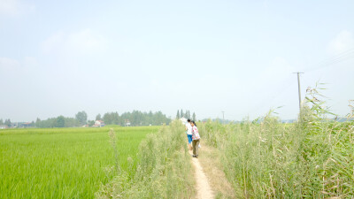 夏天乡野小路