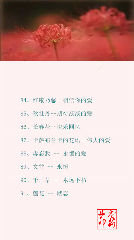 花语(｡･ω･｡)ﾉ♡