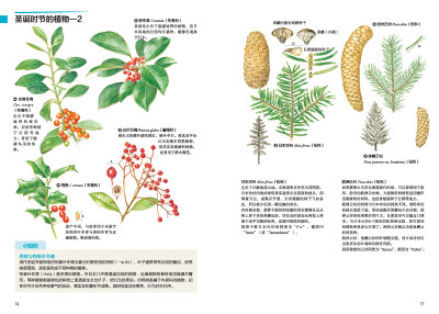 本案例摘自人民邮电出版社出版的《原野漫步 250种植物果实与红叶的手绘自然笔记》http://product.dangdang.com/23741210.html