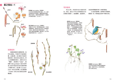 本案例摘自人民邮电出版社出版的《原野漫步 250种植物果实与红叶的手绘自然笔记》http://product.dangdang.com/23741210.html