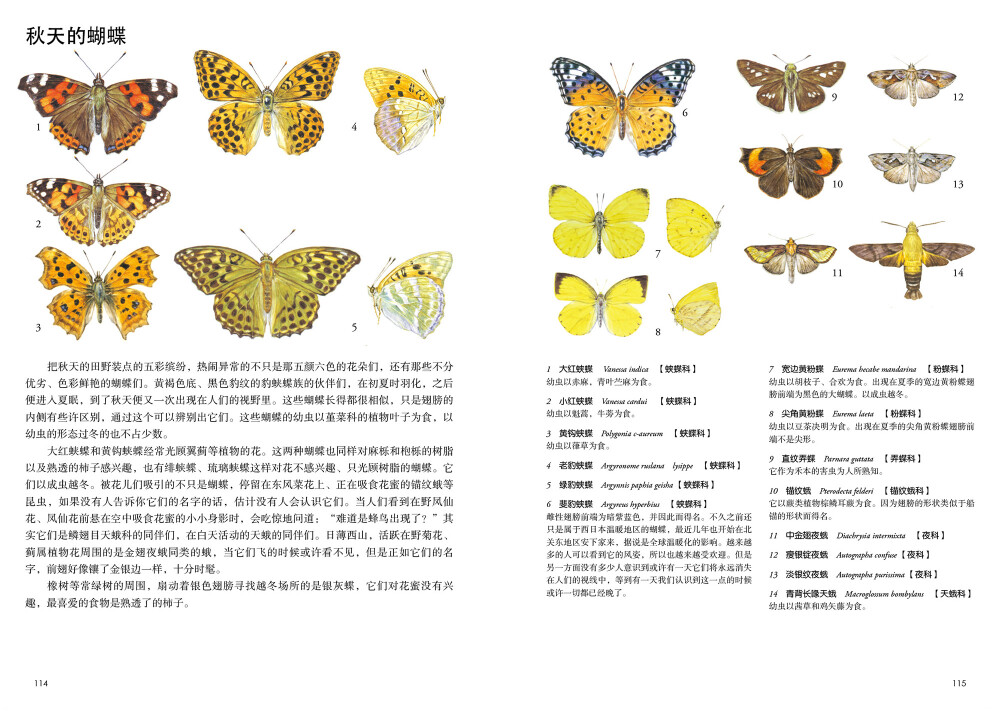 本案例摘自人民邮电出版社出版的《原野漫步 370种野花与88种昆虫的手绘自然笔记》http://product.dangdang.com/23741211.html