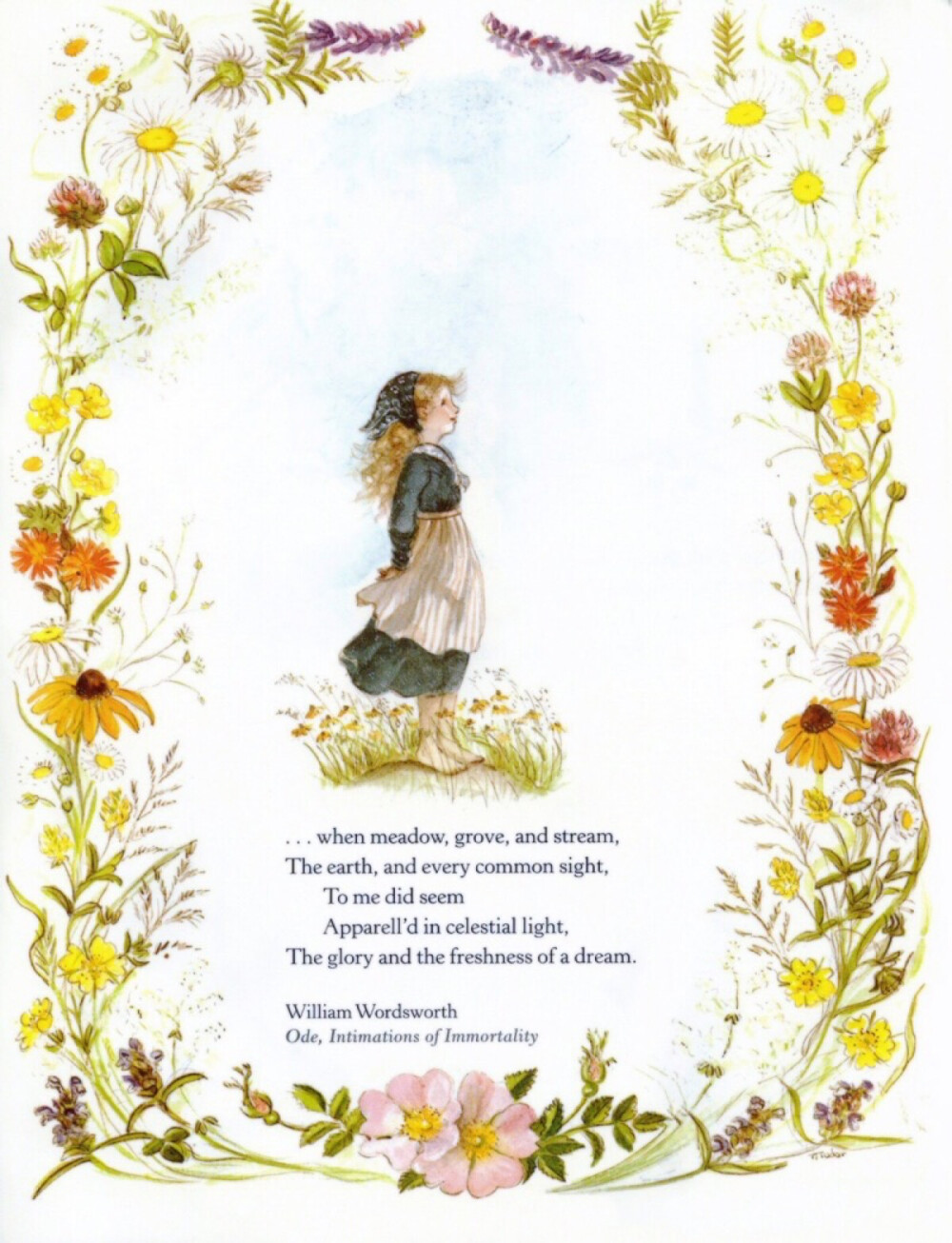 塔莎奶奶的绘画