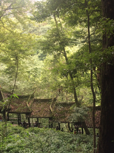 问道青城山