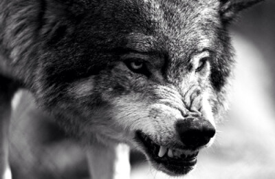 never leave or forsake Don't fucking lie.