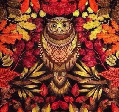 多种画法