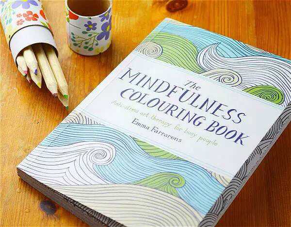 || 正念填色书 - The Mindfulness Colouring Book 这本填色书今年在全球都很热门，销量仅次于《秘密花园》。这本书是专门献给那些忙碌人士进行减压用的。书中着重强调了艺术减压疗法，并且对于填色活动可以帮助减压这一说法进行了很详细的分析。书中的图案很多都带有哲学隐喻，激发你的灵感去专注于艺术创作，并且忘记其他的琐事。这本书只有口袋大小，可以随身携带，方便随时随地拿出来涂画一会。