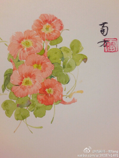 插画师--南fang 北京因及文化发展有限公司 首席插画师