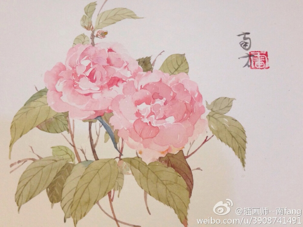 插画师--南fang 北京因及文化发展有限公司 首席插画师