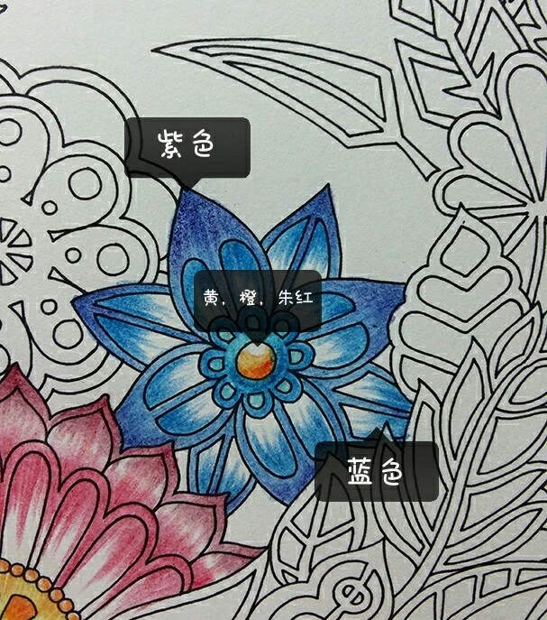 秘密花园魔法森林 蓝色花朵彩铅涂色教程