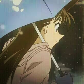 情侣头像 名侦探柯南 毛利兰