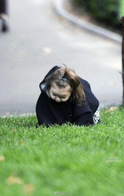 哈珀 赛文 贝克汉姆