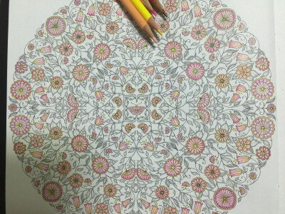 秘密花园#试着用简单的颜色