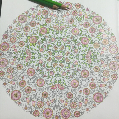 秘密花园#开始叶子的涂色了