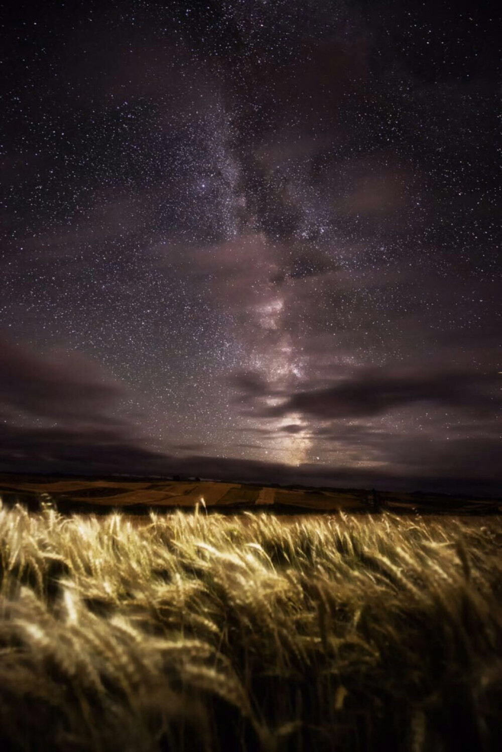 托克逊，星空下的麦田