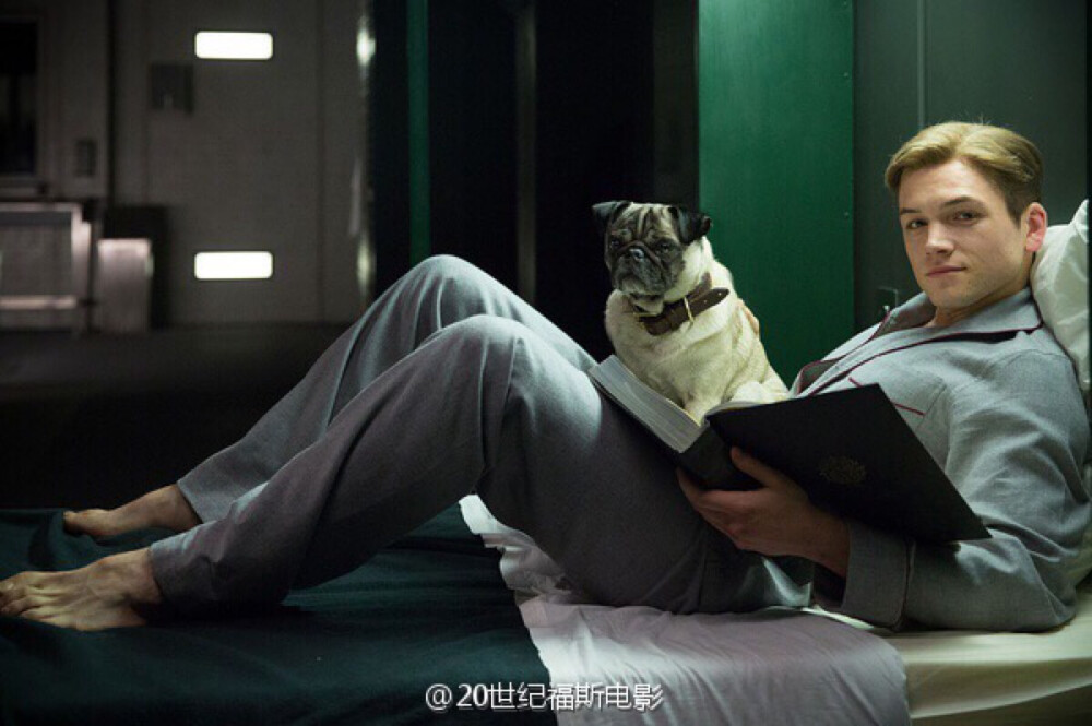kingsman 出处见水印