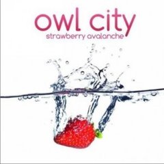 Adam Young，于2007年组建了Owl City乐队。他就是这支流行电子乐队的唯一成员，负责主音、合成器和编曲等工作。09年11月份，Owl City开启了中国巡演，陆续登陆香港、武汉、上海、北京的live house，所到之处现场观众爆棚，反响十分热烈。