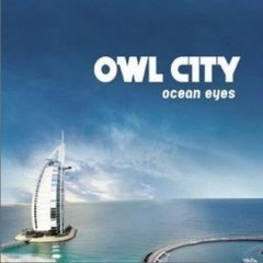 Adam Young，于2007年组建了Owl City乐队。他就是这支流行电子乐队的唯一成员，负责主音、合成器和编曲等工作。09年11月份，Owl City开启了中国巡演，陆续登陆香港、武汉、上海、北京的live house，所到之处现场观众…