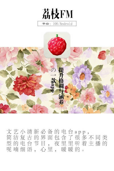 APP推荐