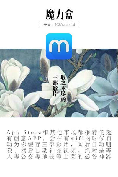 APP推荐