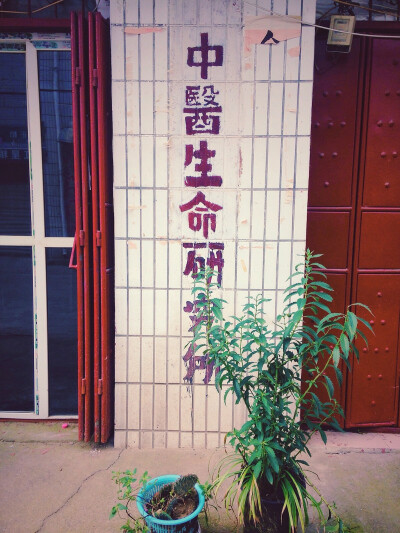 什么都有了研究所