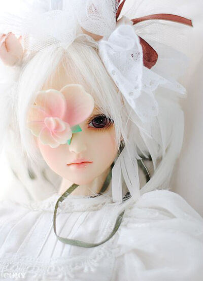 花 颜゛ BJD / SD 娃娃