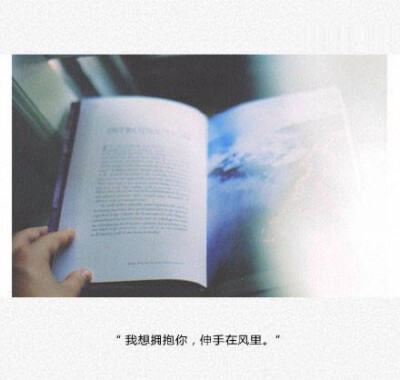 我想拥抱你，伸手在风里