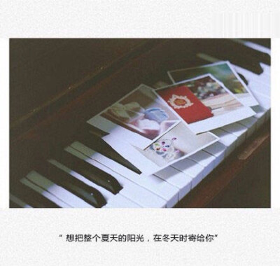 想把整个夏天的阳光，在冬天时寄给你