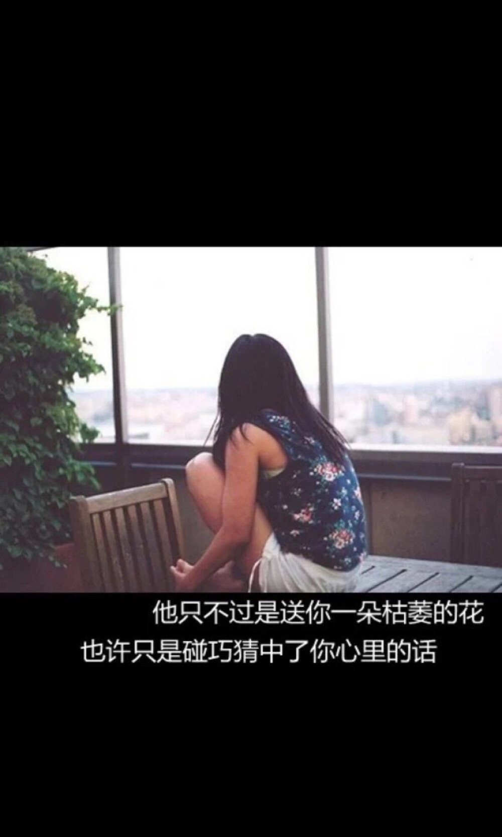 壁纸 文字 句子 女生 背影 伤感