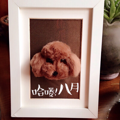 薏苡花圃新开业务咯，定制宠物立体头像