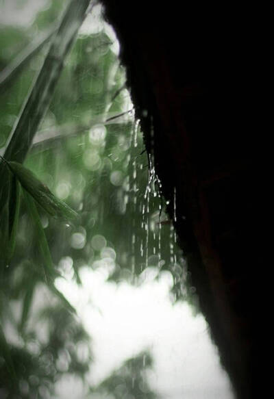 檐前雨