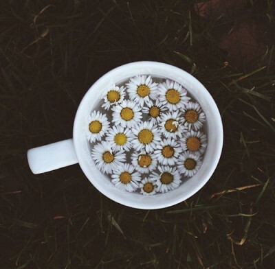 从别处看来的一杯温暖