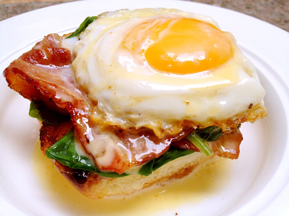 ( ´ ▽ ` )ﾉ班迪克蛋