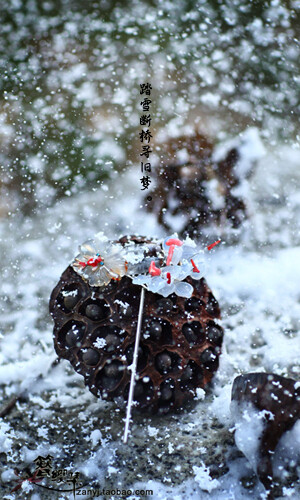 藏剑 雪断桥