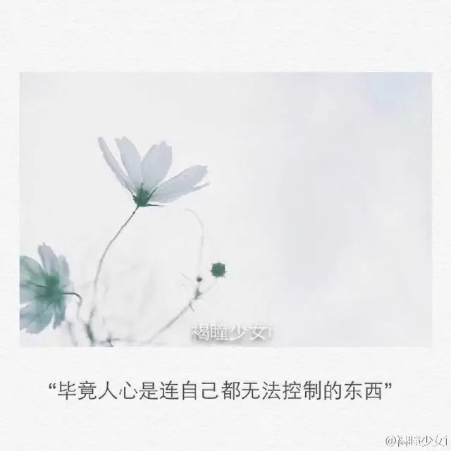 爱情长短句，语录