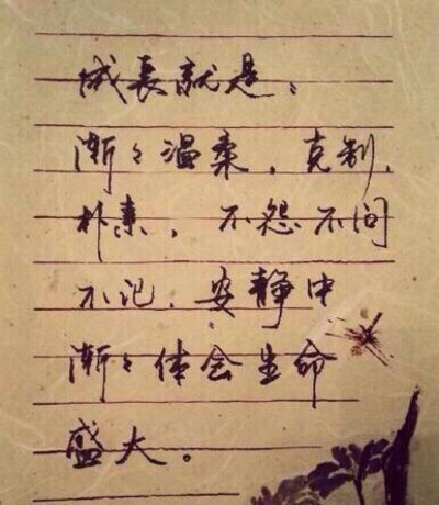 学钢笔字素材