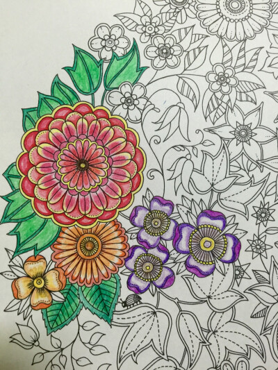 秘密花园#水溶笔